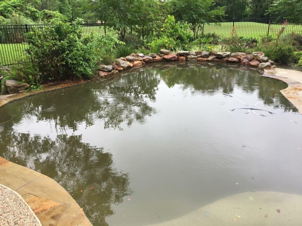 Green Pool Clean Spring Texas